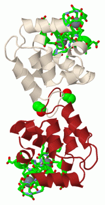 Image Biol.Unit 1 - manually
