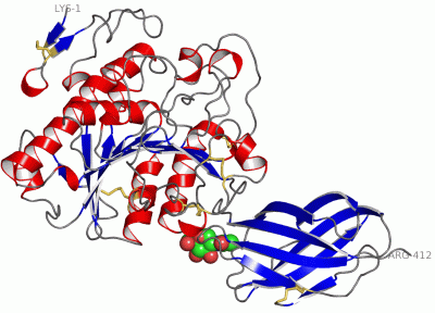 Image Asym./Biol. Unit - manually