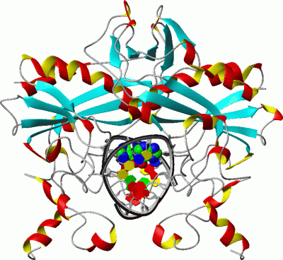 Image Asym./Biol. Unit - manually