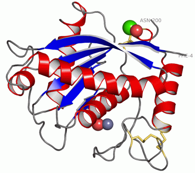 Image Asym./Biol. Unit - manually