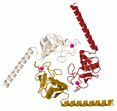 Image Biol.Unit 1 - manually