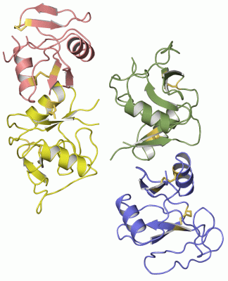 Image Asym./Biol. Unit - manually