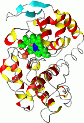 Image Asym./Biol. Unit - manually