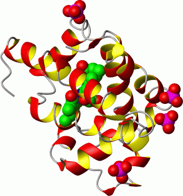 Image Asym./Biol. Unit - manually