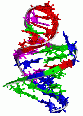 Image NMR Structure - manually