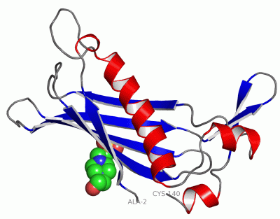 Image Asym.Unit - manually
