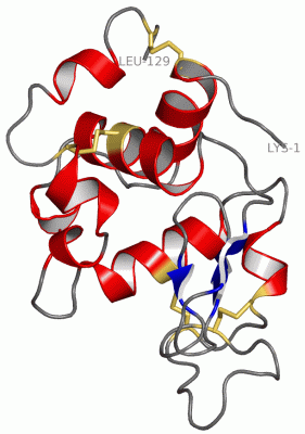 Image Asym./Biol. Unit - manually