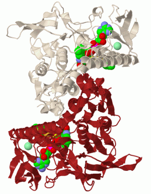 Image Biol.Unit 1 - manually