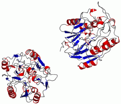 Image Asym./Biol. Unit - manually