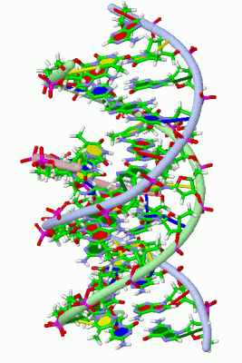 Image NMR Structure - manually