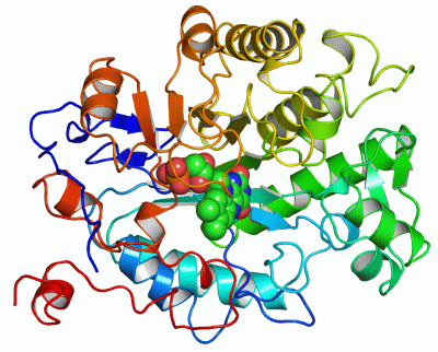 Image Asym./Biol. Unit - manually