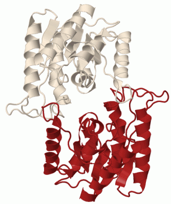 Image Biol.Unit 1 - manually