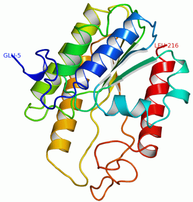 Image Asym.Unit - manually