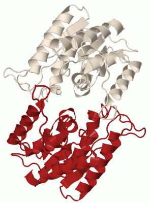 Image Biol.Unit 1 - manually