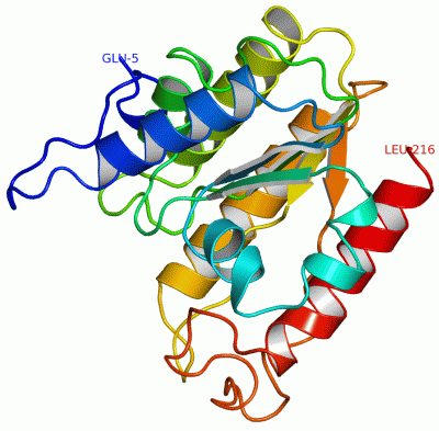 Image Asym.Unit - manually