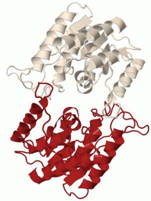 Image Biol.Unit 1 - manually