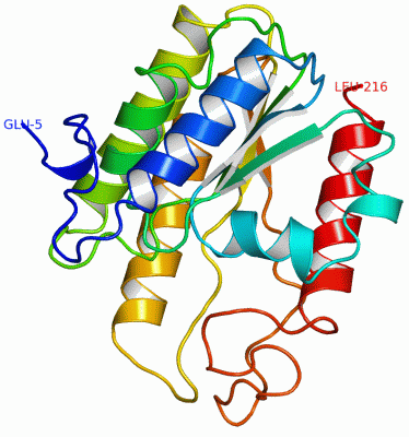Image Asym.Unit - manually