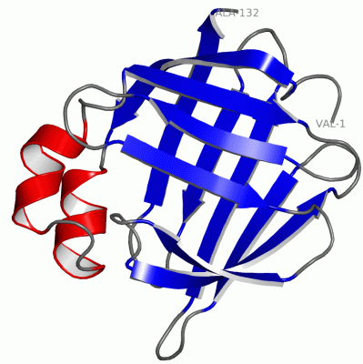 Image NMR Structure - manually