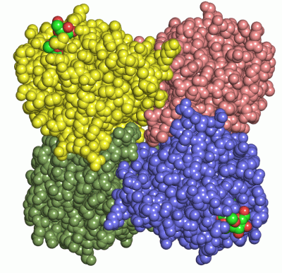 Image Asym./Biol. Unit - manually