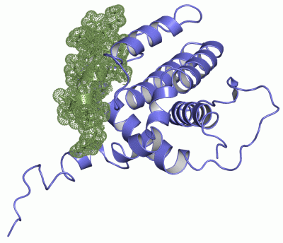 Image NMR Structure - manually