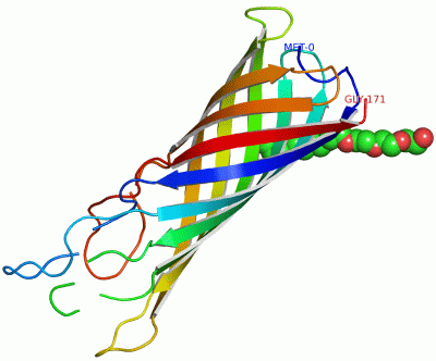 Image Asym./Biol. Unit - manually