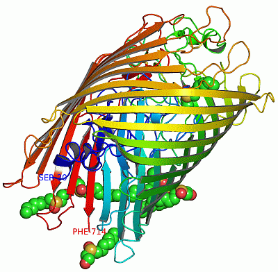 Image Asym./Biol. Unit - manually