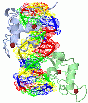 Image Biol.Unit 1 - manually