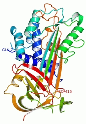 Image Asym./Biol. Unit - manually