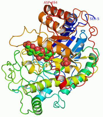 Image Asym./Biol. Unit - manually