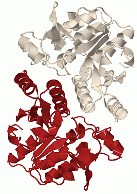 Image Biol.Unit 1 - manually