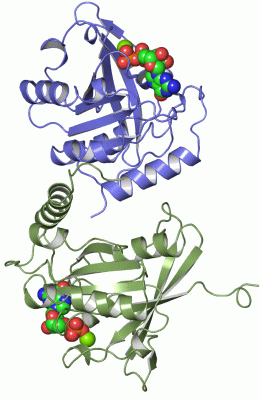 Image Asym./Biol. Unit - manually