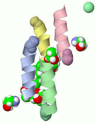 Image Asym./Biol. Unit - manually