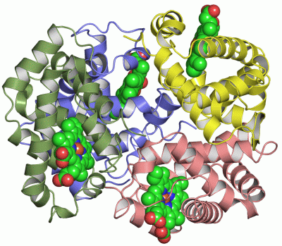 Image Asym./Biol. Unit - manually