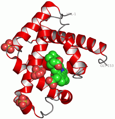 Image Asym./Biol. Unit - manually