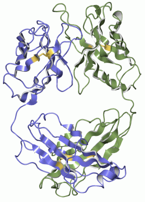 Image Asym./Biol. Unit - manually