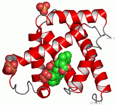 Image Asym./Biol. Unit - manually