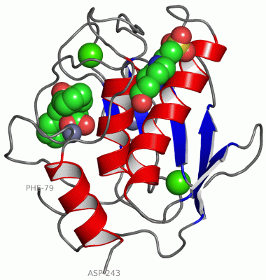 Image Asym./Biol. Unit - manually