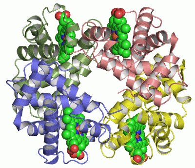 Image Asym./Biol. Unit - manually