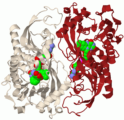 Image Biol.Unit 1 - manually