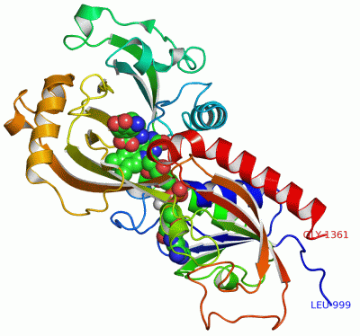 Image Asym.Unit - manually