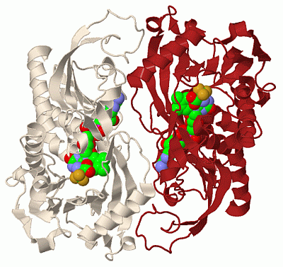 Image Biol.Unit 1 - manually