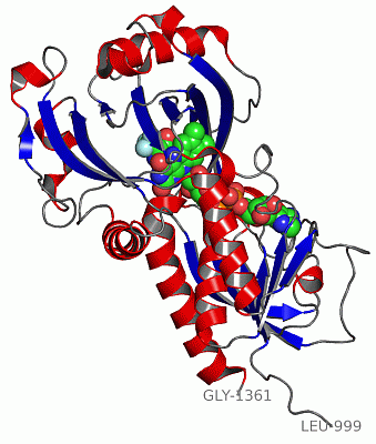 Image Asym.Unit - manually