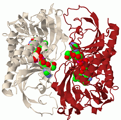 Image Biol.Unit 1 - manually