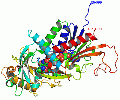 Image Asym.Unit - manually