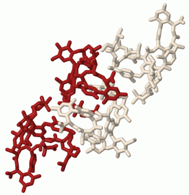 Image Biol.Unit 1 - manually