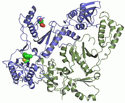 Image Asym./Biol. Unit - manually