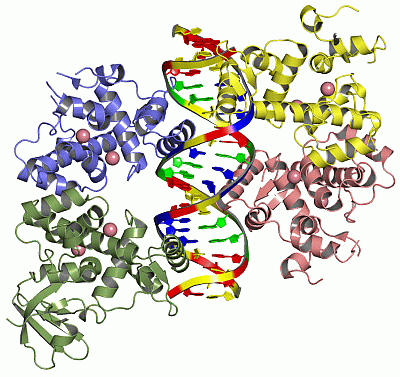 Image Asym./Biol. Unit - manually