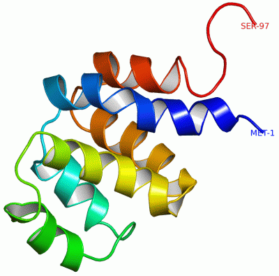 Image NMR Structure - manually