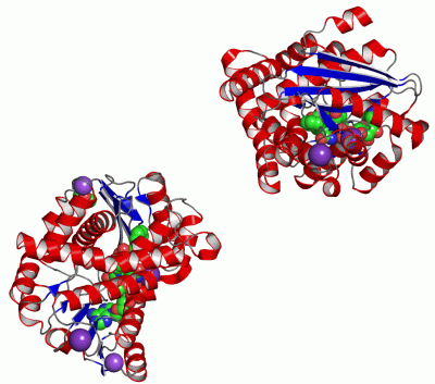 Image Asym./Biol. Unit - manually