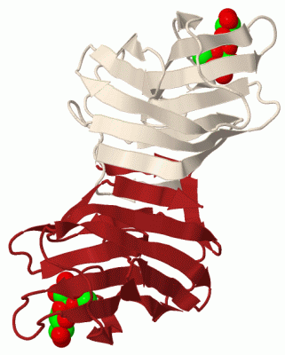 Image Biol.Unit 1 - manually